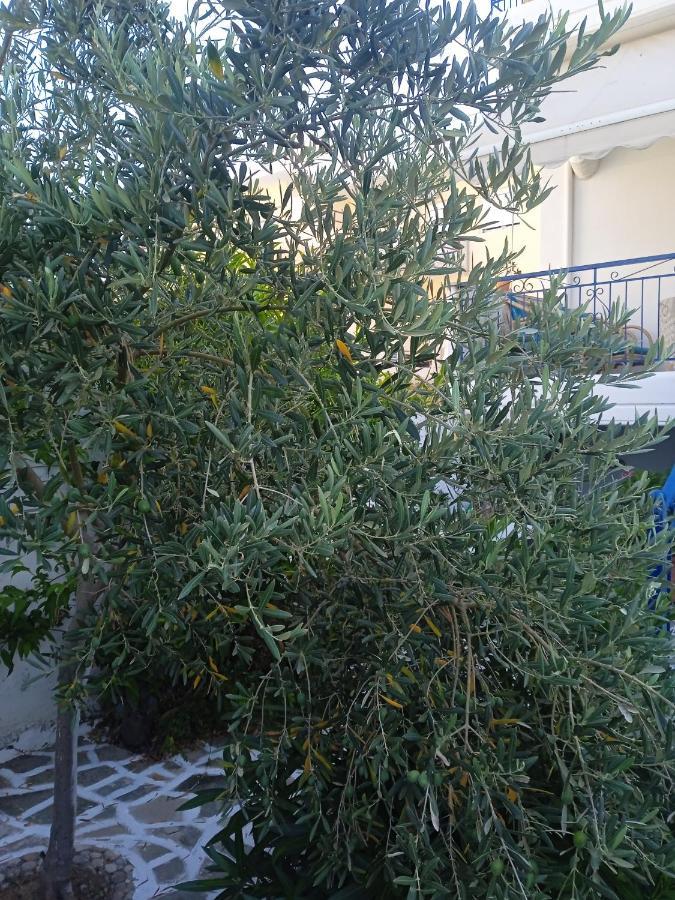 Seethesea Apartment Kanali Πρέβεζα Εξωτερικό φωτογραφία